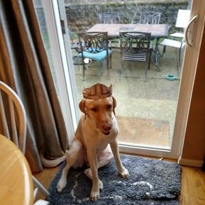 Meet your Posher, Kylie